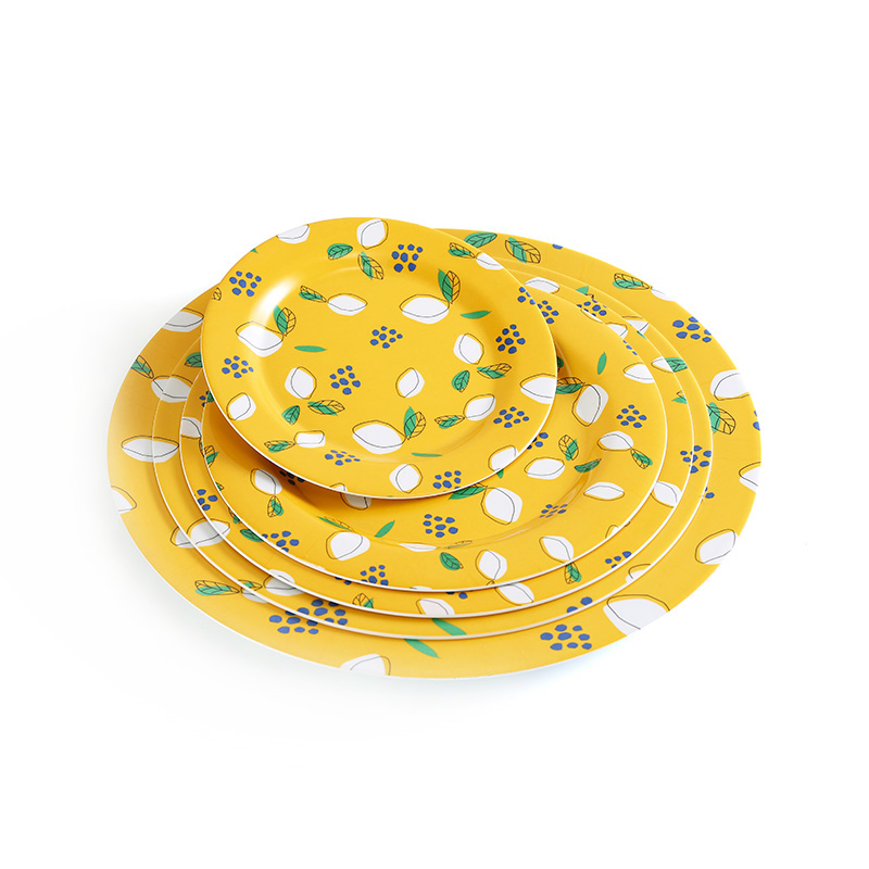 5 Piece Set Round Melamine Plates